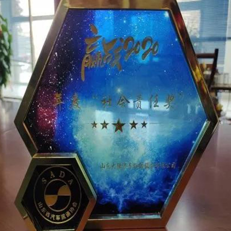 年度社会责任奖