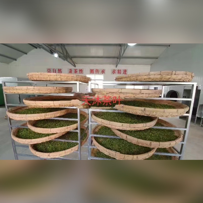 天沐茶叶
