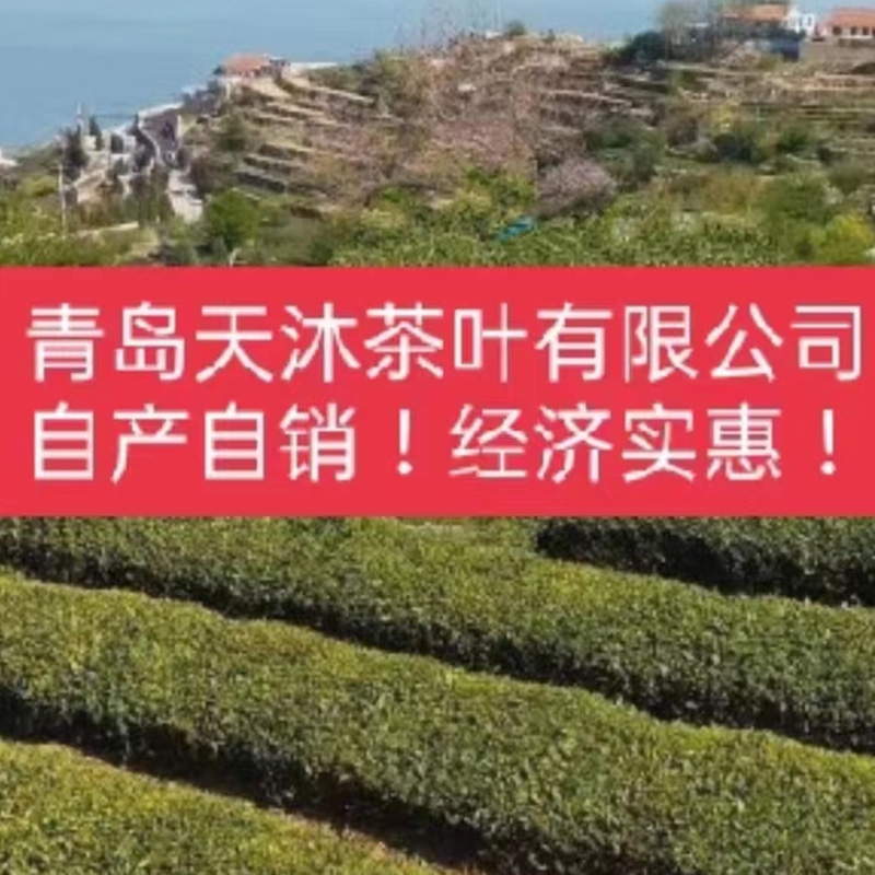 天沐茶叶