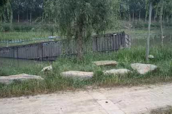 拖车救援